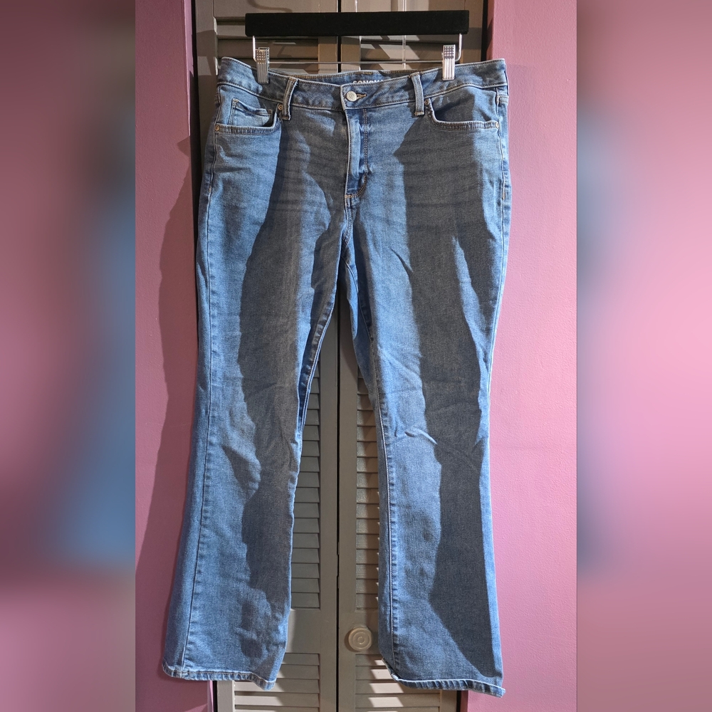 Sonoma Light Blue Flare Jeans